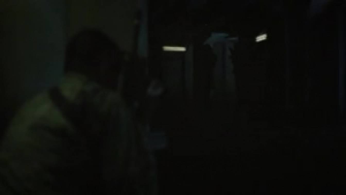 12 majom 1. évad 13. rész