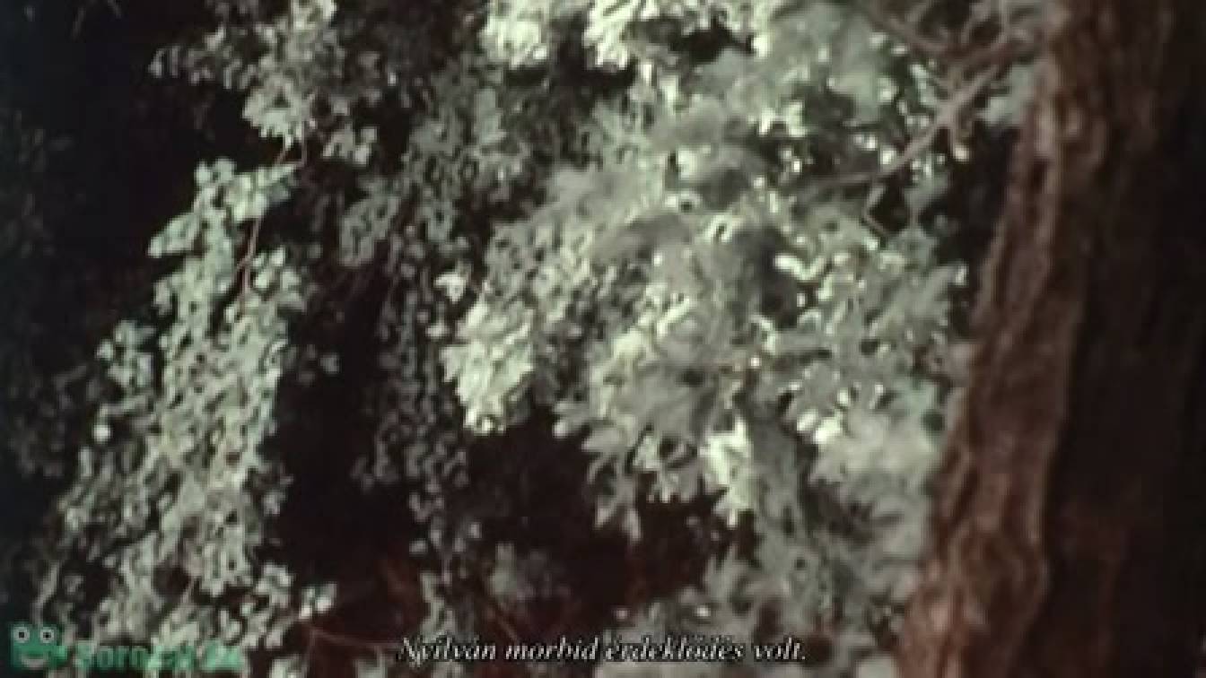 Beszélgetések egy sorozatgyilkossal: A Jeffrey Dahmer-szalagok 1. évad 02. rész