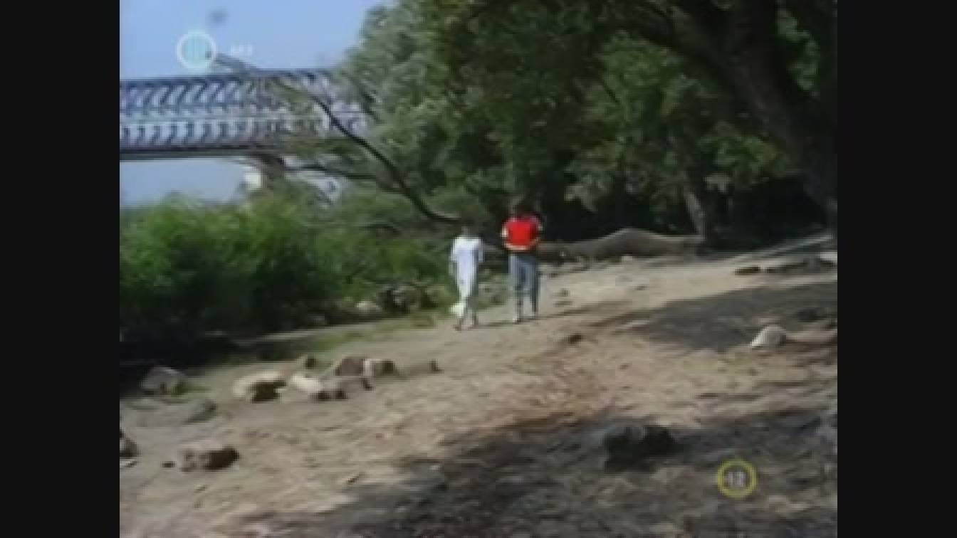 Szomszédok 3. évad 13. rész