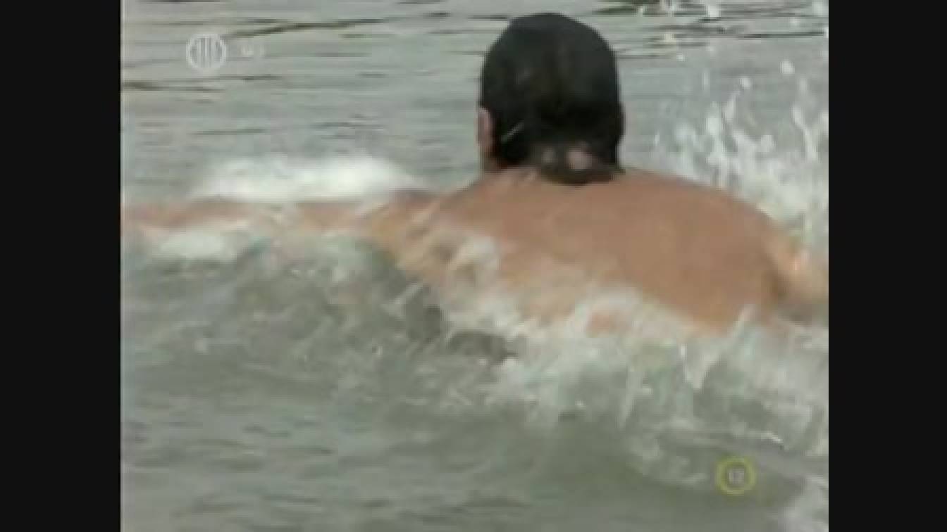 Szomszédok 9. évad 16. rész