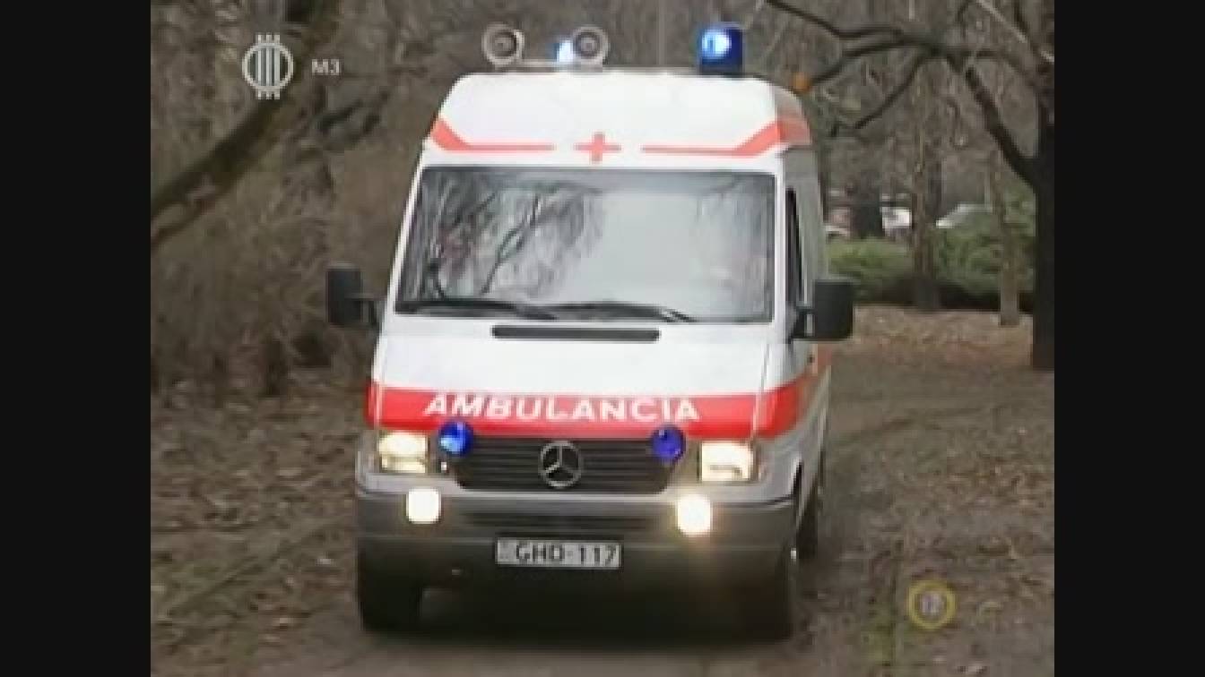 Szomszédok 11. évad 25. rész