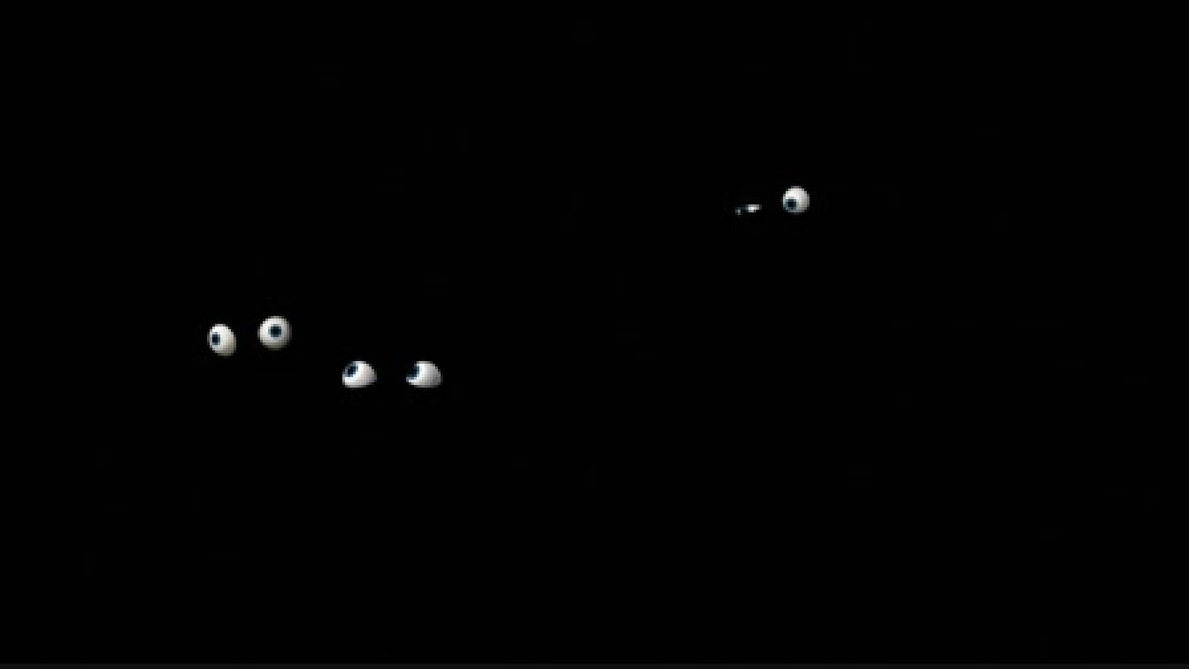 A Madagaszkár pingvinjei  1. évad 04. rész