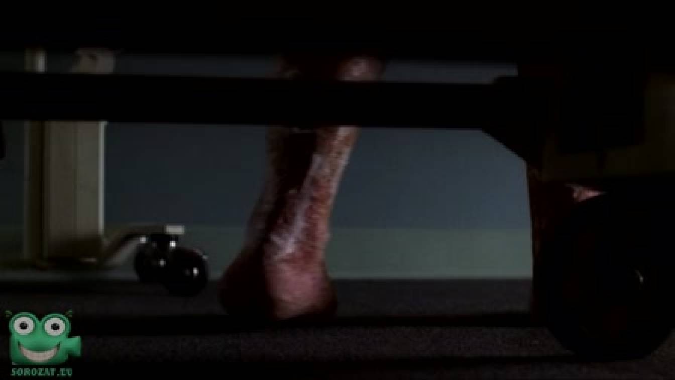 X-akták 8. évad 15. rész