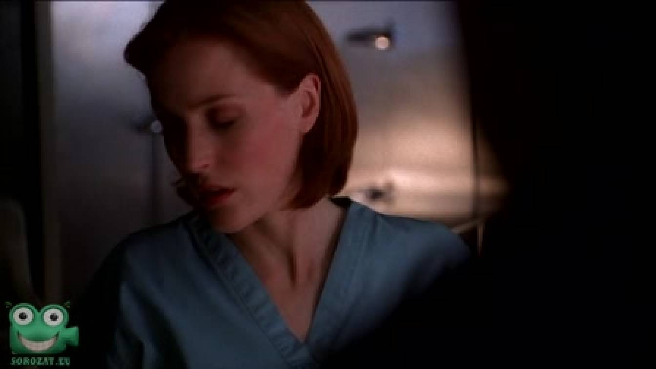 X-akták 8. évad 19. rész