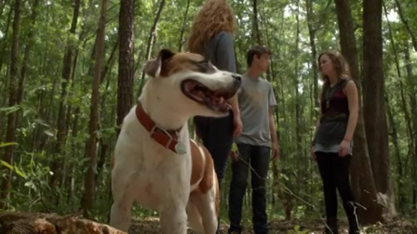 Búra alatt 1. évad 09. rész