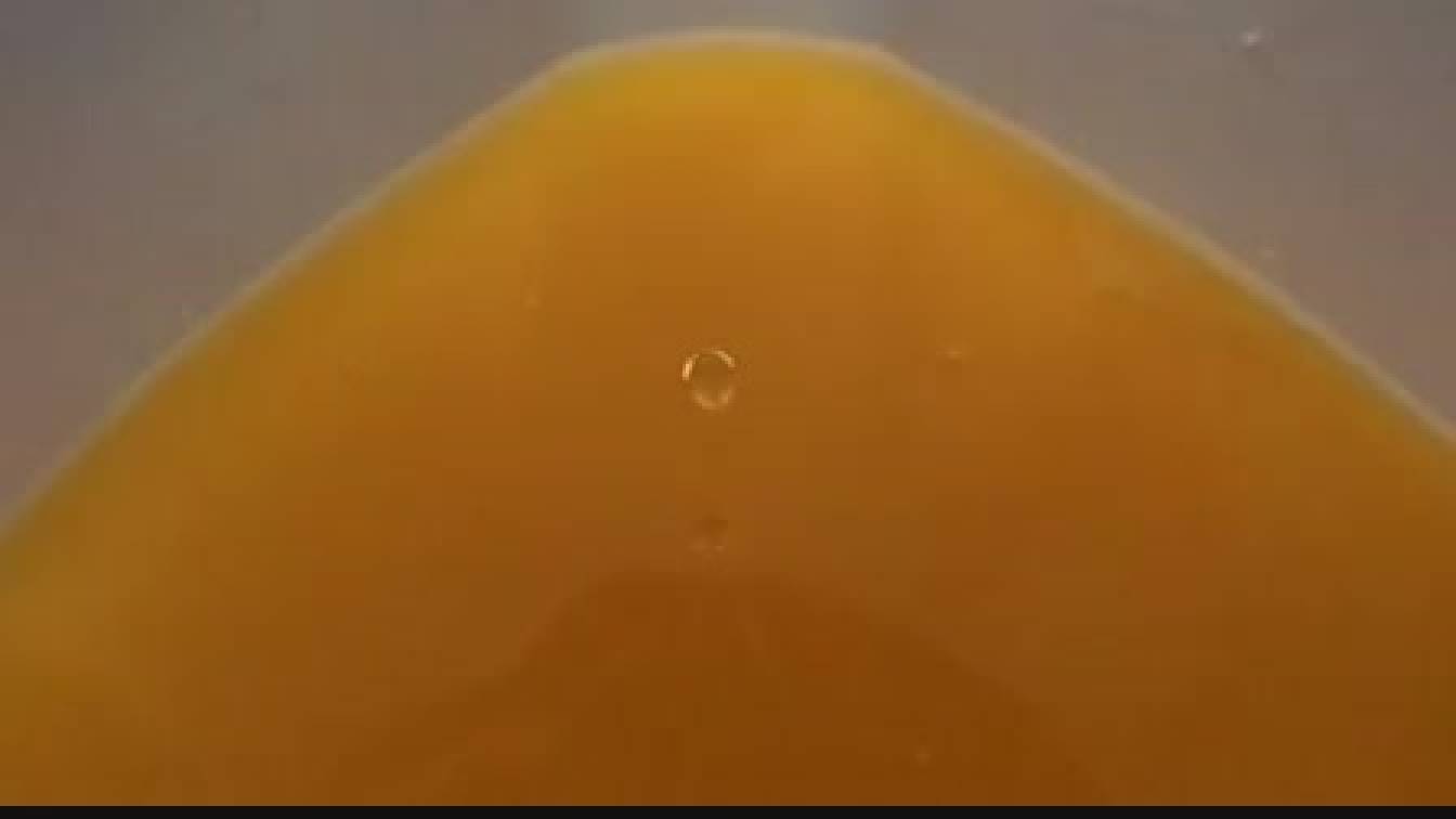 CSI: Miami helyszinelők 1. évad 15. rész