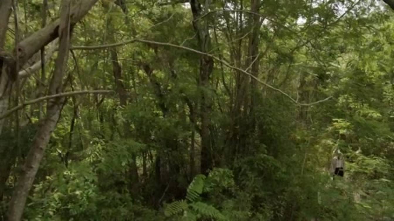 Kalózháború 1. évad 05. rész