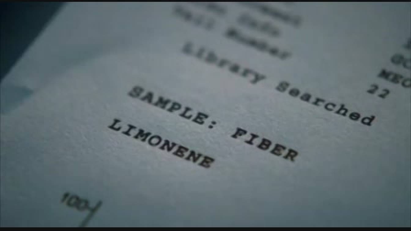 CSI: Miami helyszinelők 3. évad 03. rész