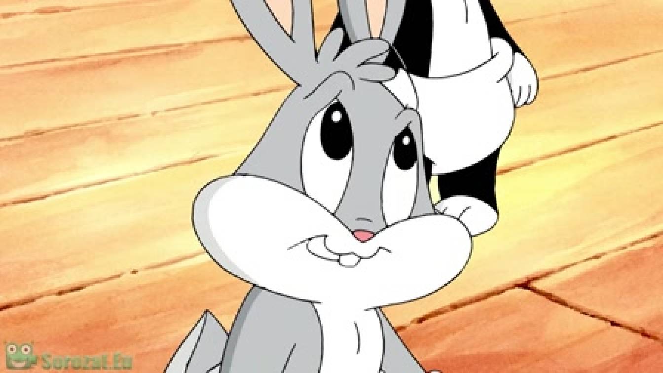 Bébi bolondos dallamok  1. évad 21. rész