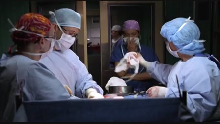 Vészhelyzet 9. évad 13. rész