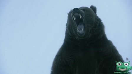 Vikingek 4. évad 03. rész