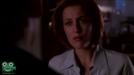 X-akták 8. évad 13. rész