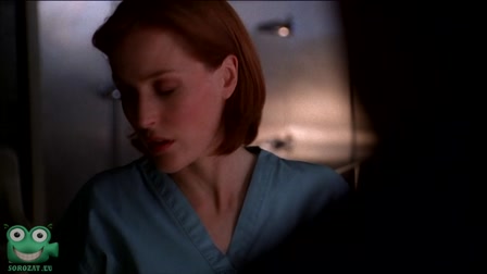 X-akták 8. évad 19. rész