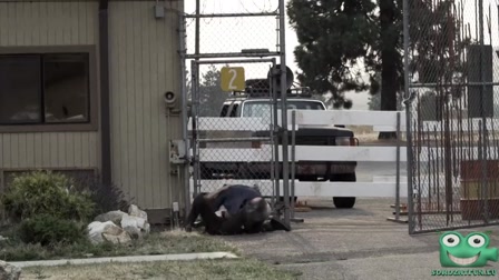 Z, mint zombi 1. évad 06. rész