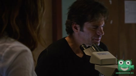 Zoo - Állati ösztön 1. évad 12. rész